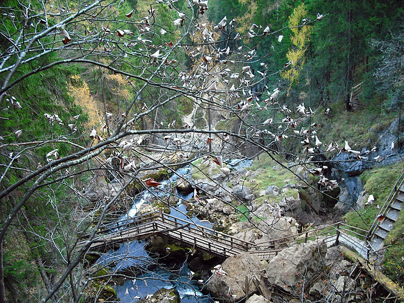 Gollinger Wasserfall