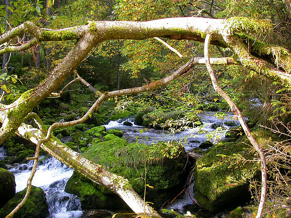 Gollinger Wasserfall