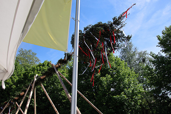 Maibaumaufstellen Anif