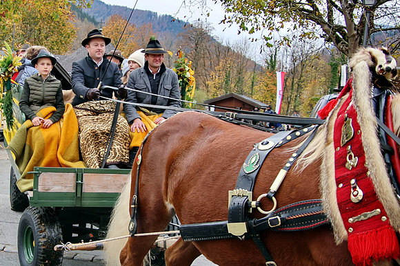 Leonhardiritt und Kutschenfahrt