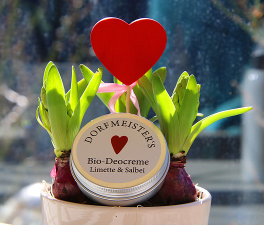 Besuch bei Dorfmeister´s