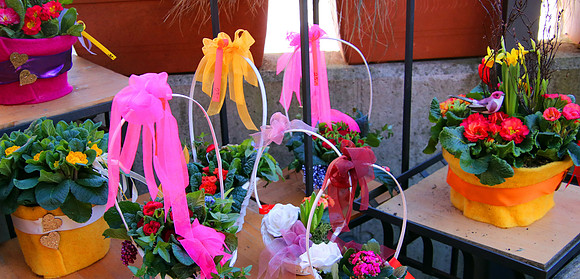 Blumen Ruhnau
