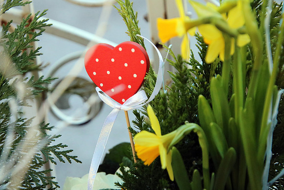 Blumen Ruhnau