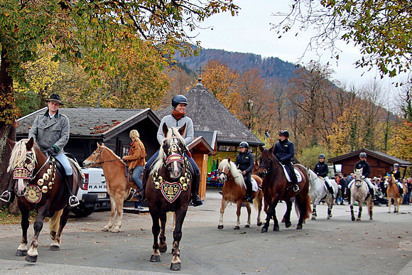 Leonhardiritt und Kutschenfahrt