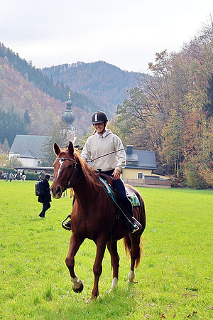 Leonhardiritt und Kutschenfahrt