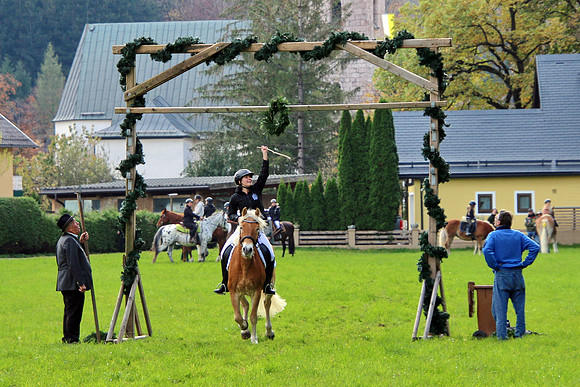 Leonhardiritt und Kutschenfahrt