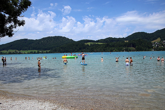 The ORGANICS Beach
