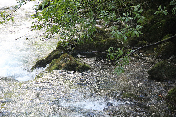 Natur in Torren