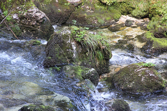 Natur in Torren