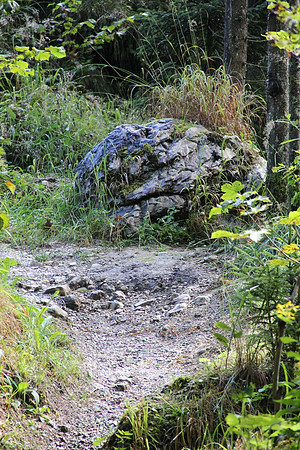 Natur in Torren