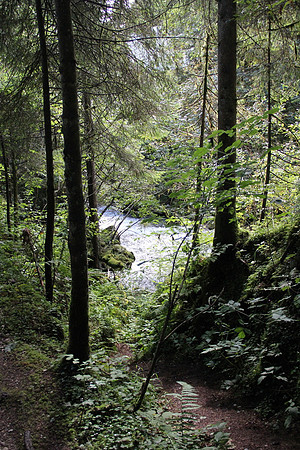 Natur in Torren